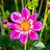 marthaleigh123